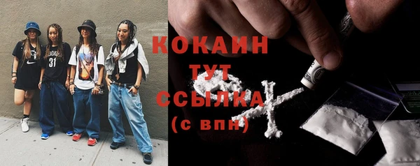 молекула духа Киреевск