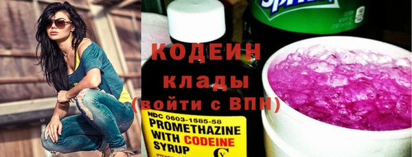 молекула духа Киреевск