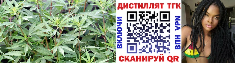 Купить  Богданович  ТГК THC oil 