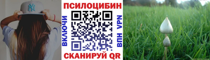 Псилоцибиновые грибы Magic Shrooms Богданович